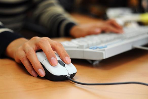 MesÃ¡rios que participarÃ£o das eleiÃ§Ãµes podem fazer capacitaÃ§Ã£o on-line